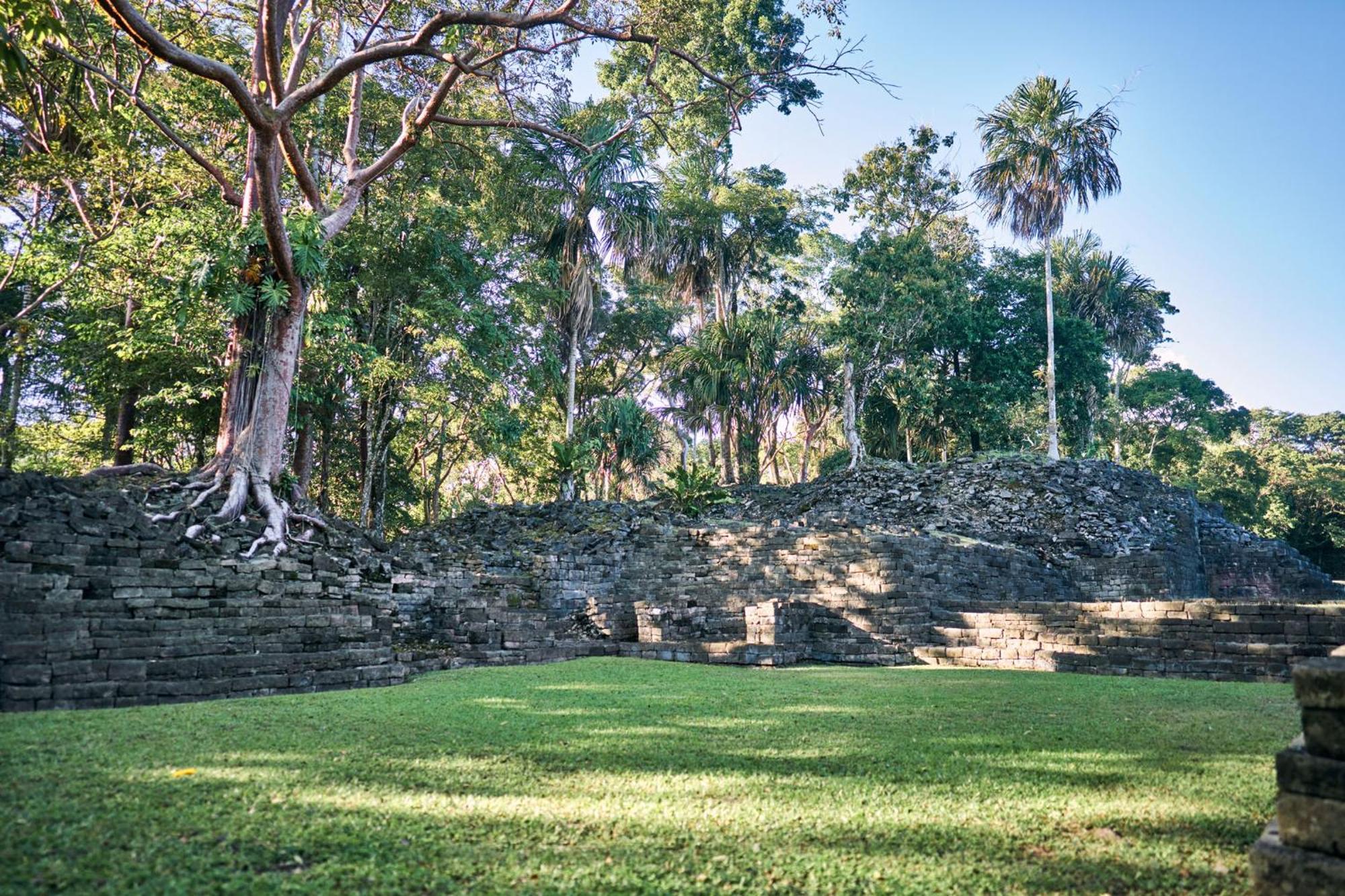 Turtle Inn By Francis Ford Coppola Placencia ภายนอก รูปภาพ